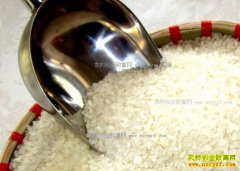 2017��1��19��ȫ�����׼۸�����