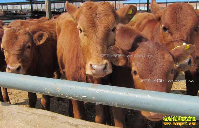 ţ����ۻ��ô�죿