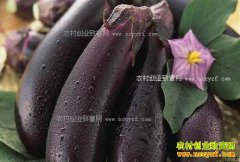 2017�괺�����Ӽ۸����飺�Ϸ��������Ӽ۸����������