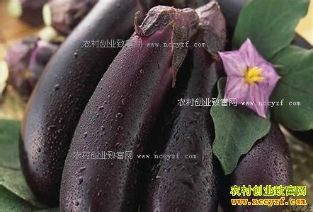 2017�괺�����Ӽ۸����飺�Ϸ��������Ӽ۸����������