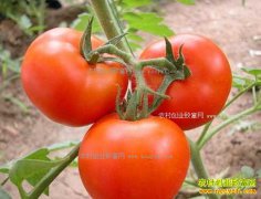 �������۸��»� ����ʦ�������о��� ��ϧ��