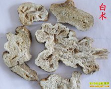 白术多少钱一斤:2017年1月20日白术价格行情