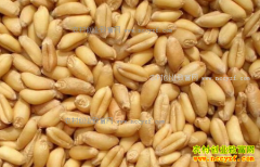 δ��С��۸�����Ԥ�⣺С��۸���������