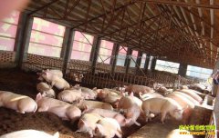 ��������������������