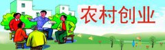 农村创业怎样选择好项目
