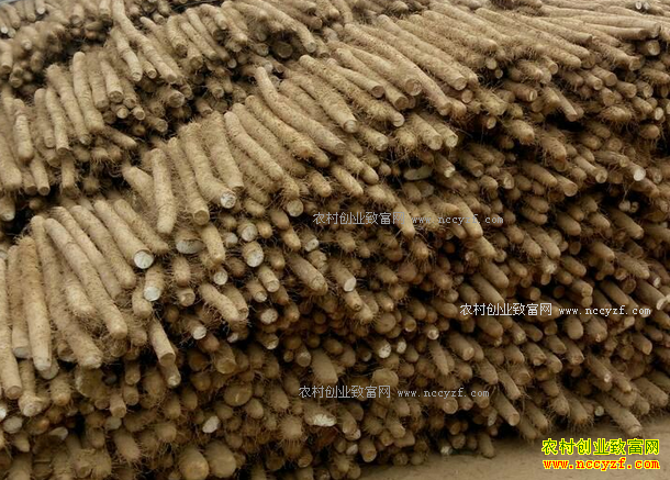 2017�����ɽҩ�۸�Ԥ�⣺����ǰ��ɽҩ�۸����Ƕ�������