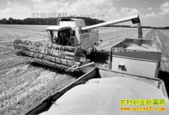 ���۲���ǣ������ 2017����ʳ�۸�����Ԥ��