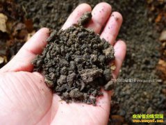 ������ר����׬Ǯ�� ��ο�һ��׬Ǯ�Ļ���ר����