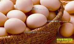 2017��2��4�����¼����۸��������Ʒ���