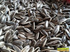 2017������Ѽ۸�����Ԥ�⣺ʳ�ÿ�������������＾����ת��