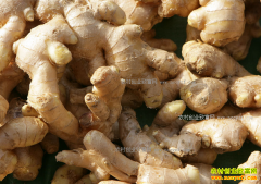 2016�������۸�ع˼�2017�������۸�����Ԥ��