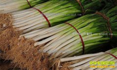 2016���м۸�ع˼�2017���м۸�����Ԥ��