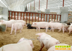 �������ۼ�2017�������۸�Ԥ�⣺3�·ݺ���������ǿ����