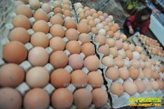 2017�꼦���۸�Ԥ��:���ڼ����۸��½� ��һ�󼦵�����