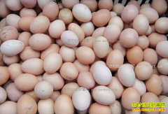 ��������Ǯһ�2017��2��6�����¼����۸���������