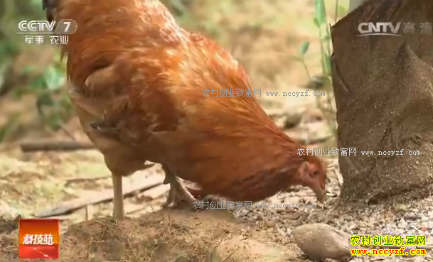 [�Ƽ�Է]������ġ��ɼ��� 20170204