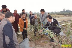 ������ֲ��ݮ�ܸ߲���������Ӳ� ��ݮ���������һ��