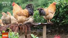 [�Ƽ�Է]�����������������������г�����