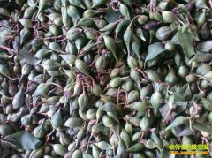 2017�����̣����̣��۸�����Ԥ��