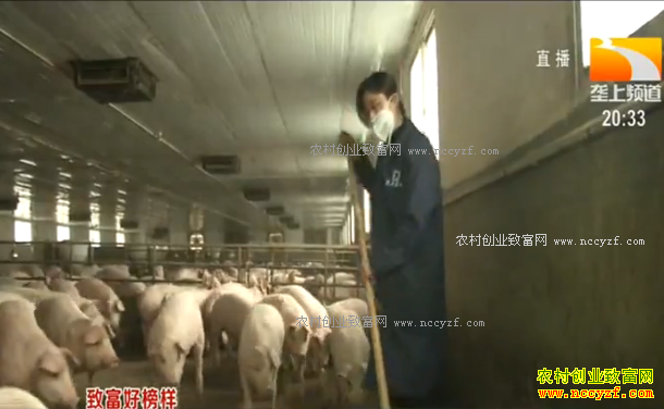 �¸��ð�������Ů���紴ҵ��������ױ����������