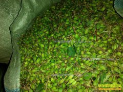 ���̶���Ǯһ�2017��2��7���������̣����̣��۸�