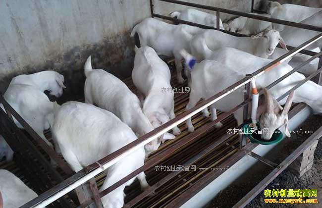 2017������׬Ǯ������������ܽ��ͳɱ���