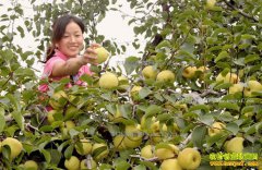 ��������׬Ǯ��δ�������ҵδ����·���Ķ�