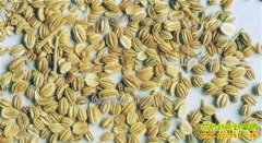 2017���ߴ��Ӽ۸�����Ԥ��