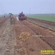 2017�����۸�Ԥ�⣺��ҩ�ķ���۸�����������