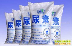 �������ؼ۸�����Ԥ�⣺���ؼ۸�ɶʱ��ʼ����