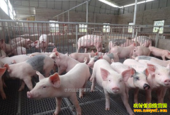 ���������۸��������ƣ���������仯����ֳ�����������