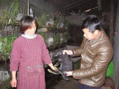 �Ĵ�����֣�Ӵ���Ա������һֻ��׬30Ԫ