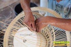 2017��ũ��ӹ�ʲô������· �Ÿ��ӹ���Ŀ�Ƽ�