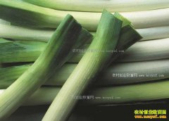 2017�����´�м۸����飺��м۸������80% �չ������Ҳ��Ҫ