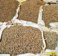 2017��������ɽ���߼۸���������Ԥ��