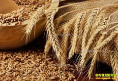 ����С��۸�2017��3��21������С��۸���������