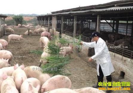 �²���ι����