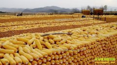 �������׼۸�2017��2��24���������׼۸���������