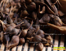 ���̶���Ǯһ�2017��3��31���������̼۸�����