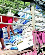 �㶫���ʼ۸�Ԥ�⣺���ʻ�����һ�� ���ڻ����Ǽۿ����Բ���