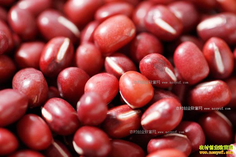 ����������׬Ǯ��2017�������Ӷ��۸����鼰�г�ǰ��չ��