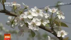 [�Ƽ�Է]��������С����ܶ�������Ķ����1���