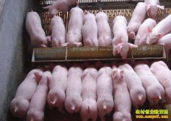 ����۸��ǡ������۸������ֳ�����ܱ���