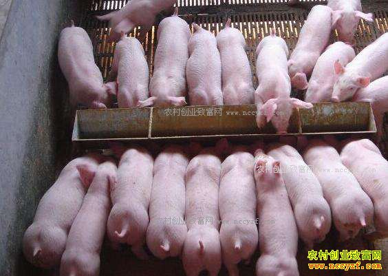 ����۸��ǡ������۸�������������ܱ���