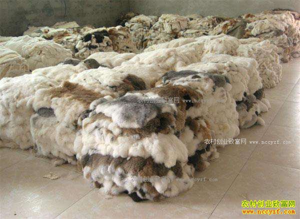 2017��ӱ��д�Ƥë�г�̡��Ƥ����۸�