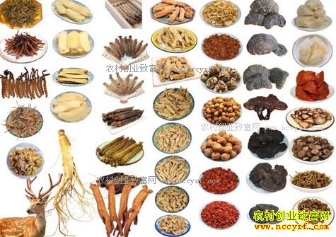 ��ҩ�ļ۸񽫲�����һ���������� 2017����Щ��ҩ�Ļ��Ǽۣ�