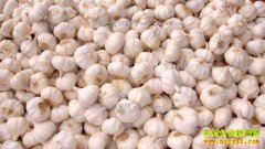 2017�����۸�Ԥ�⣺�������������۸������µ�