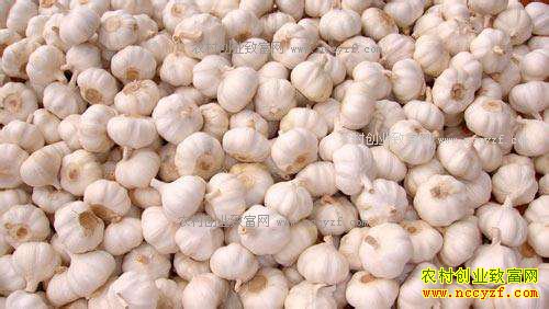 2017�����۸�Ԥ�⣺�������������۸������µ�