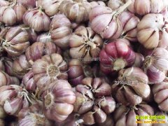 [ũ�����]��Ƥ��߲����༼����Ƶ