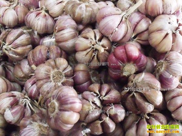 [ũ�����]��Ƥ��߲�����